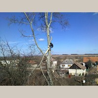 gallery/rezanie-dreva/thumbs/201202271284.jpg