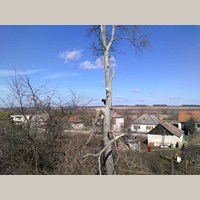 gallery/rezanie-dreva/thumbs/201202271287.jpg